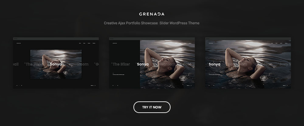 2019-Top WordPress Themes-1 (9)