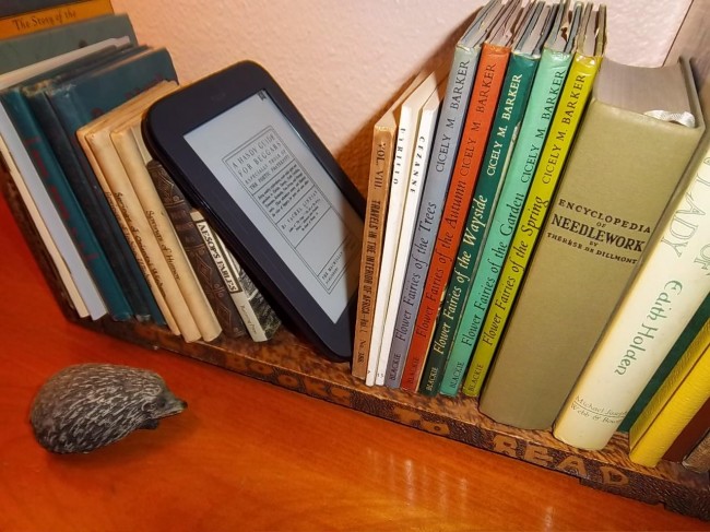 5 Reasons Book Lovers Prefer To Rent Books 2