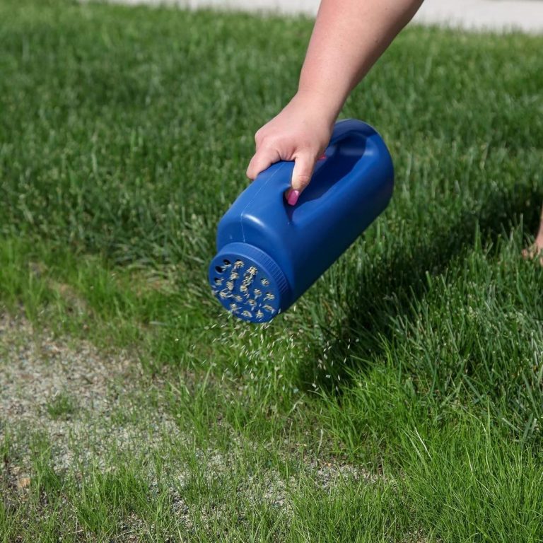 5 Best Salt Spreaders What is The Best Salt Spreader?