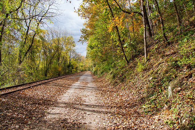 Autumn Landscape Lightroom Preset