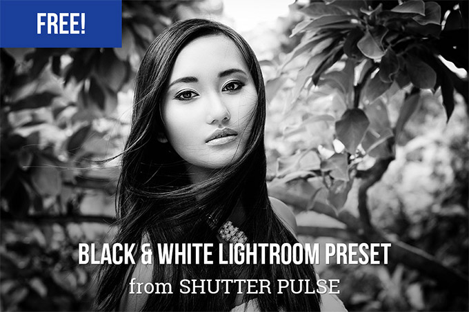 Black & White Lightroom Preset