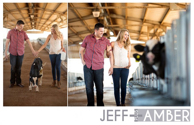 dairy-farm-engagement-session07