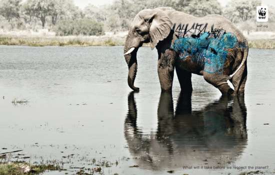 graffiti-elephant