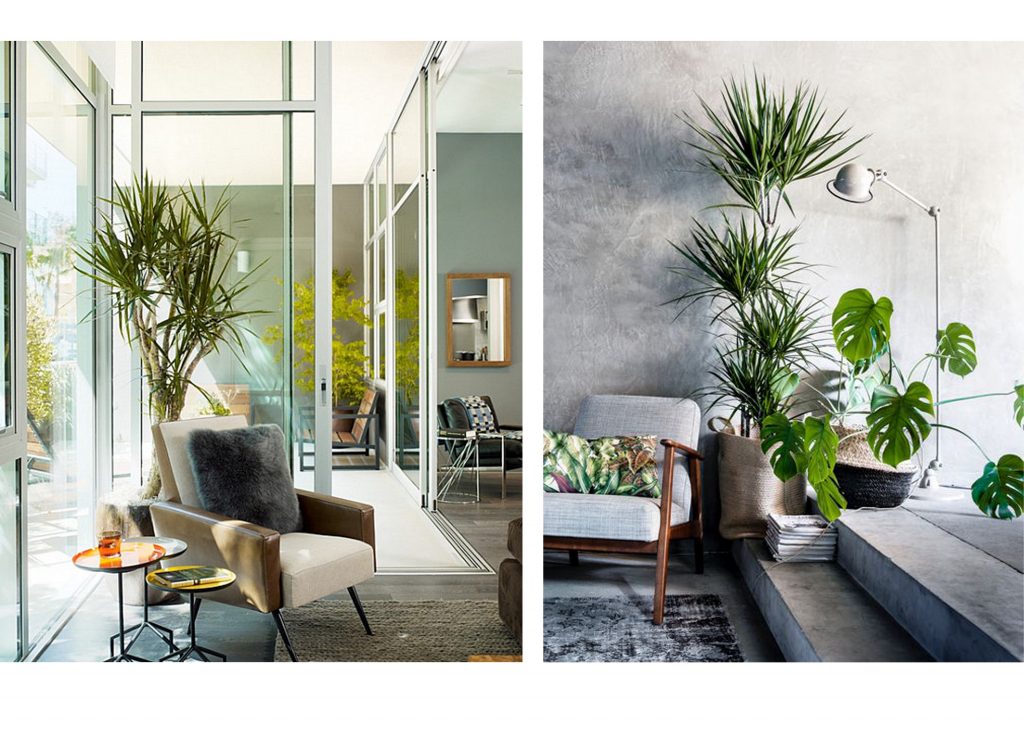green-office-interior-design