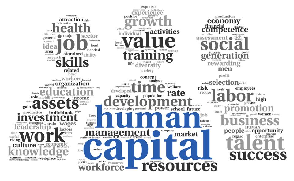 how-much-does-human-capital-cost-an-entrepreneur