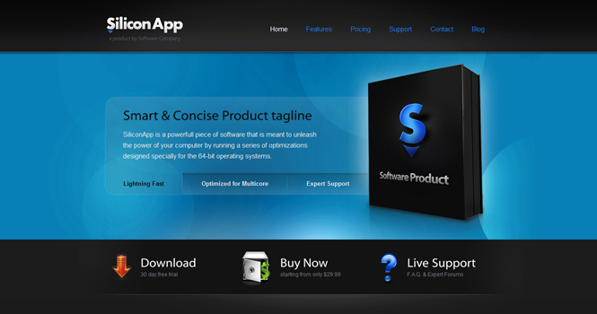 Software WordPress Theme - SiliconApp