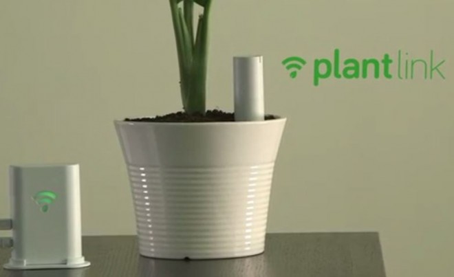 smart-office-solutions-plantlink