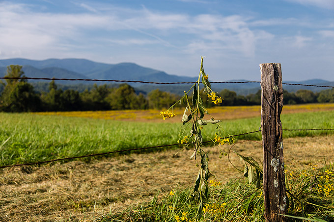 Vibrant Landscape Lightroom Preset