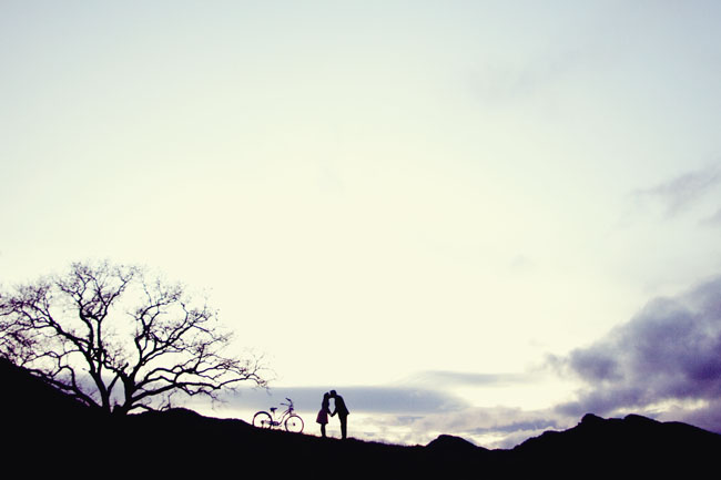 wedding-photography-engaged-tree-silhouette