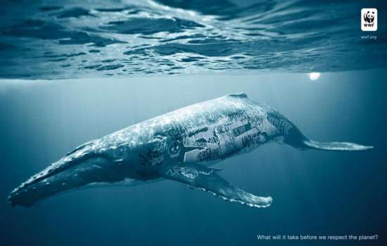 whale-graffiti-art-wwf-campaign