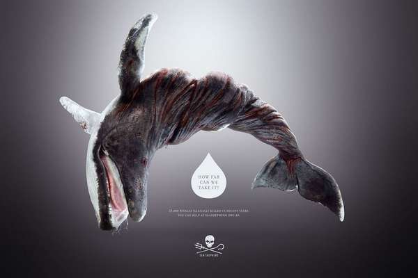 wringed-ocean-creature-ad-campaign