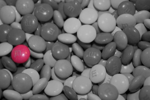 I finally got photoshop